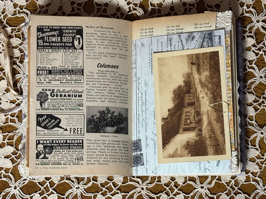 ジャンクジャーナル　雑記帳　⭐︎14⭐︎