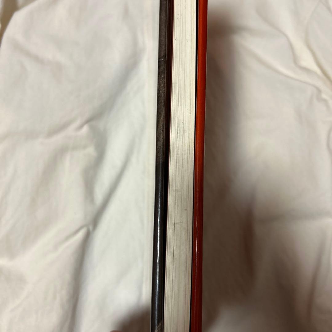 ローマ美術館　辞典　ヴィンテージ品　早い者勝ち！