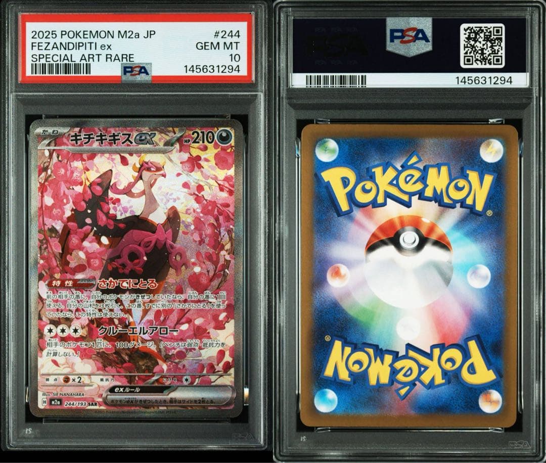 【PSA10】GEM MINT キチキギスex SAR
