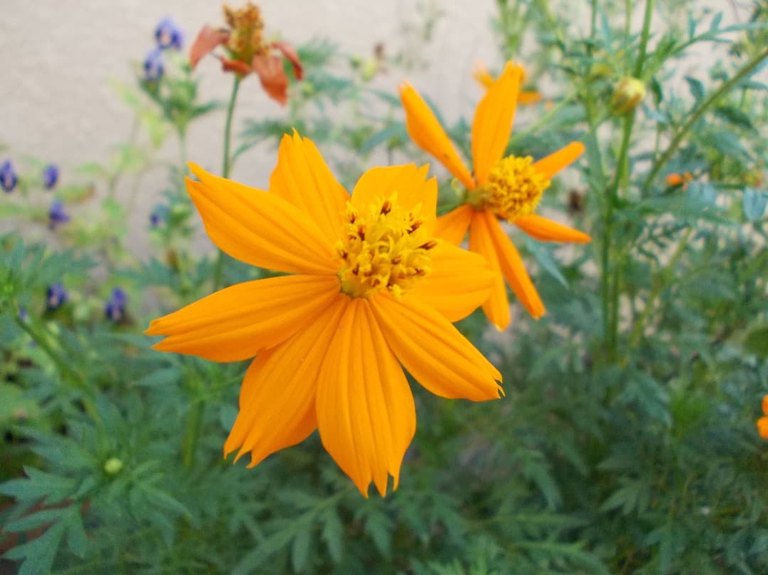 SDカード、リーダー付【動作確認済】Nikon COOLPIX L23 シルバー