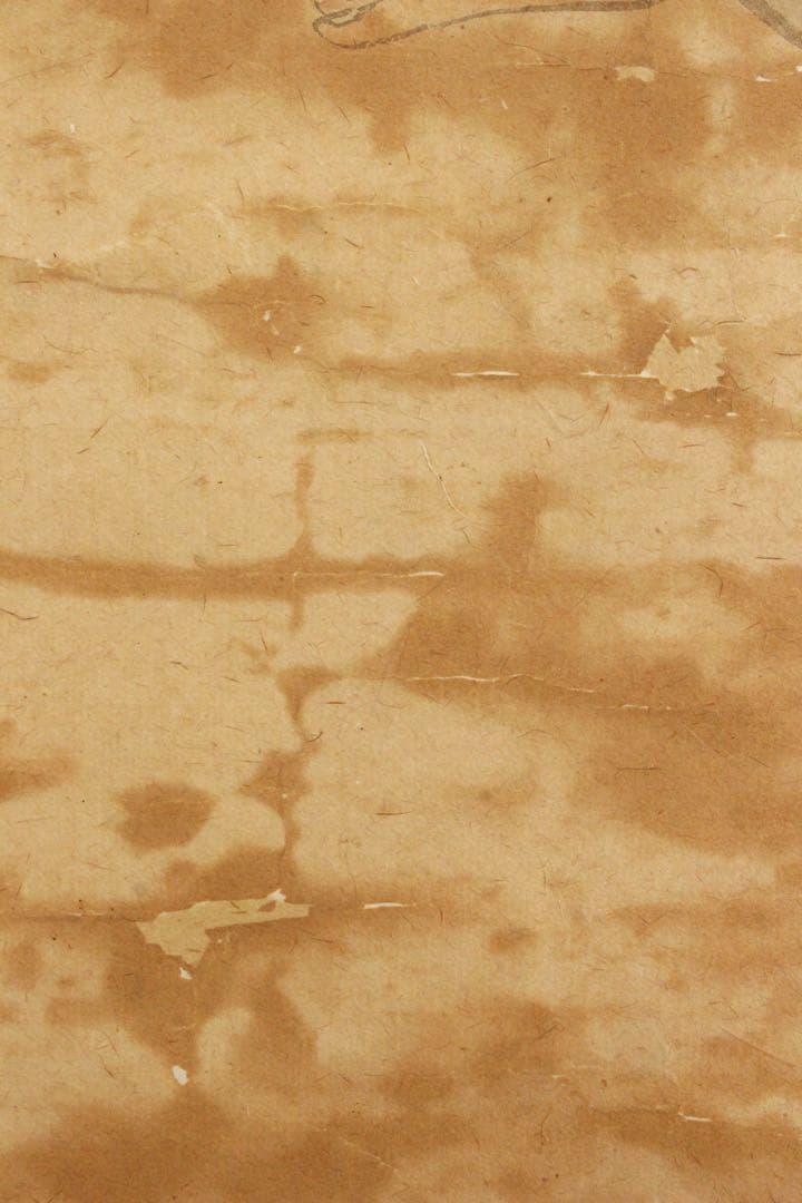 No5455 掛軸　在印　雲仙　観音菩薩像　紙本淡彩　仏教美術　仏画　送料無料