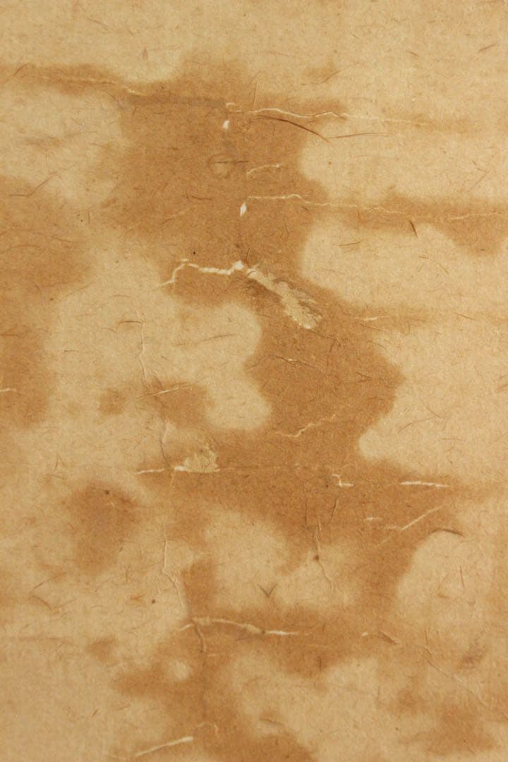 No5455 掛軸　在印　雲仙　観音菩薩像　紙本淡彩　仏教美術　仏画　送料無料