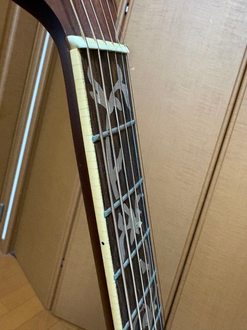 Ovation celebrity エレアコ パールホワイト
