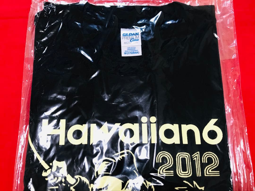 新品 HAWAIIAN6『三人のＴシャツ』KEN YOKOYAMA 横山 健