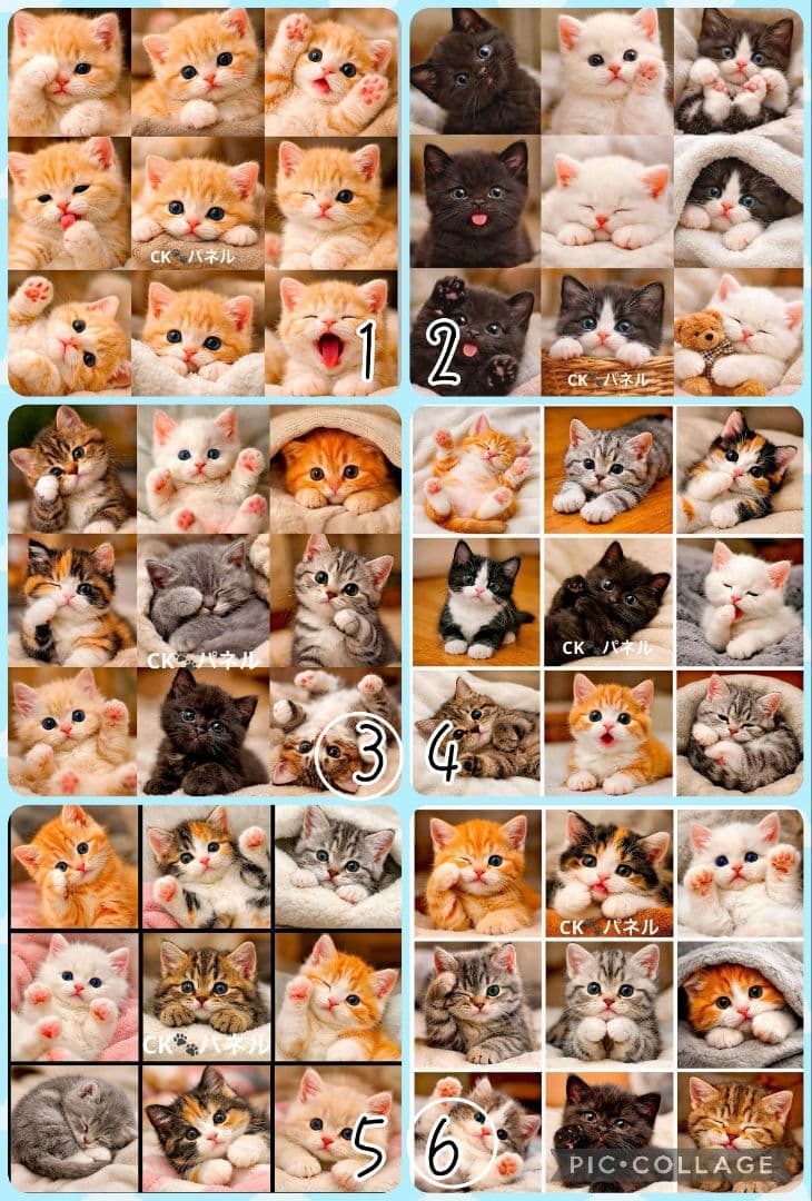 【3月】ゆうめる