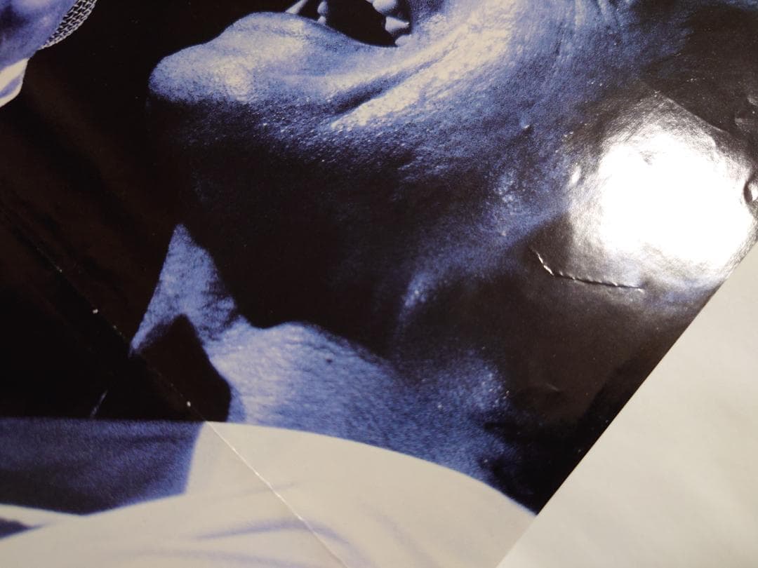 ★矢沢永吉・2001年・二つ折り・横浜アリ－ナ・日本武道館・B5サイズチラシ