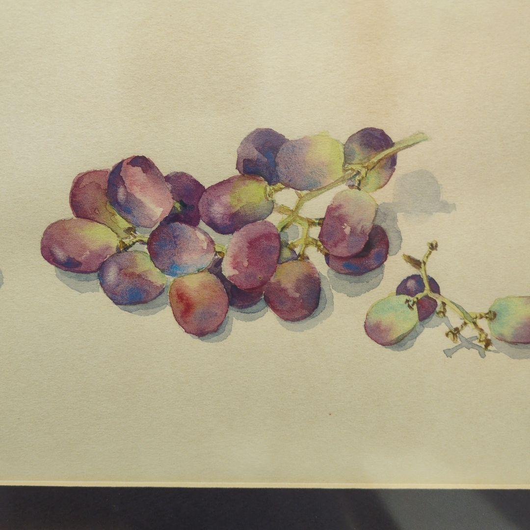 作者不詳　美しい水彩画 ブドウが瑞々しく描かれています。シンガポールで購入