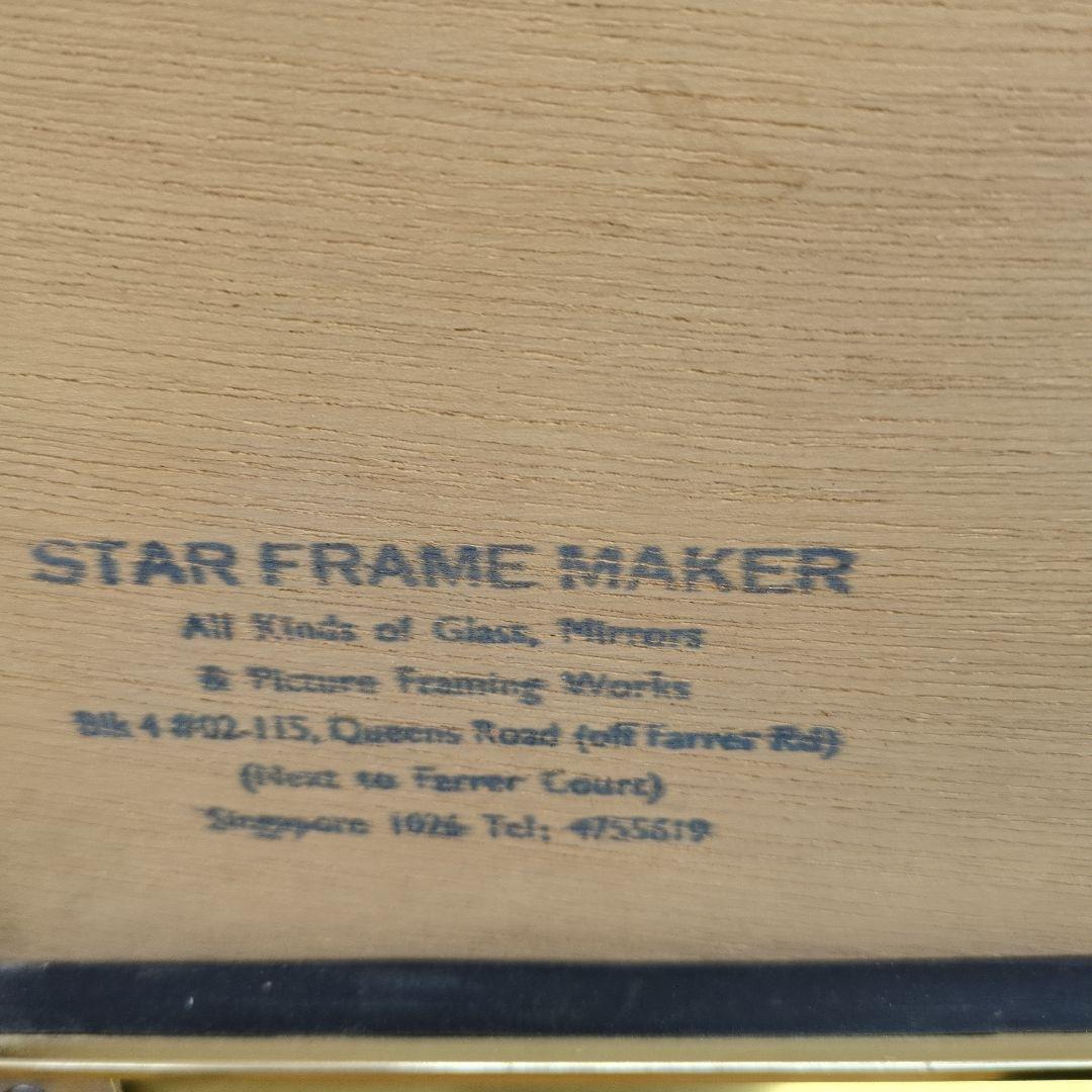 作者不詳　美しい水彩画 ブドウが瑞々しく描かれています。シンガポールで購入