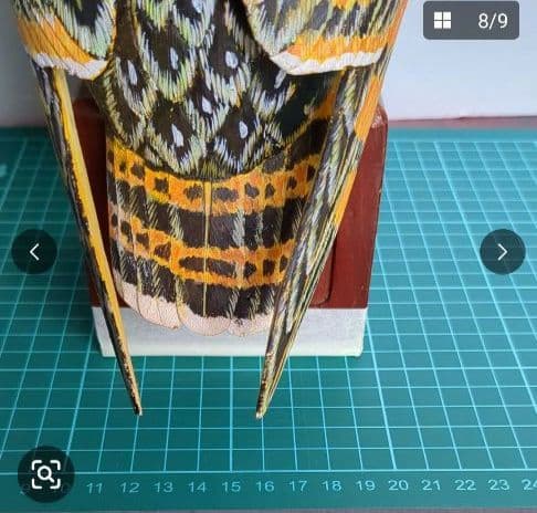 ミミズク バードカービング フクロウ