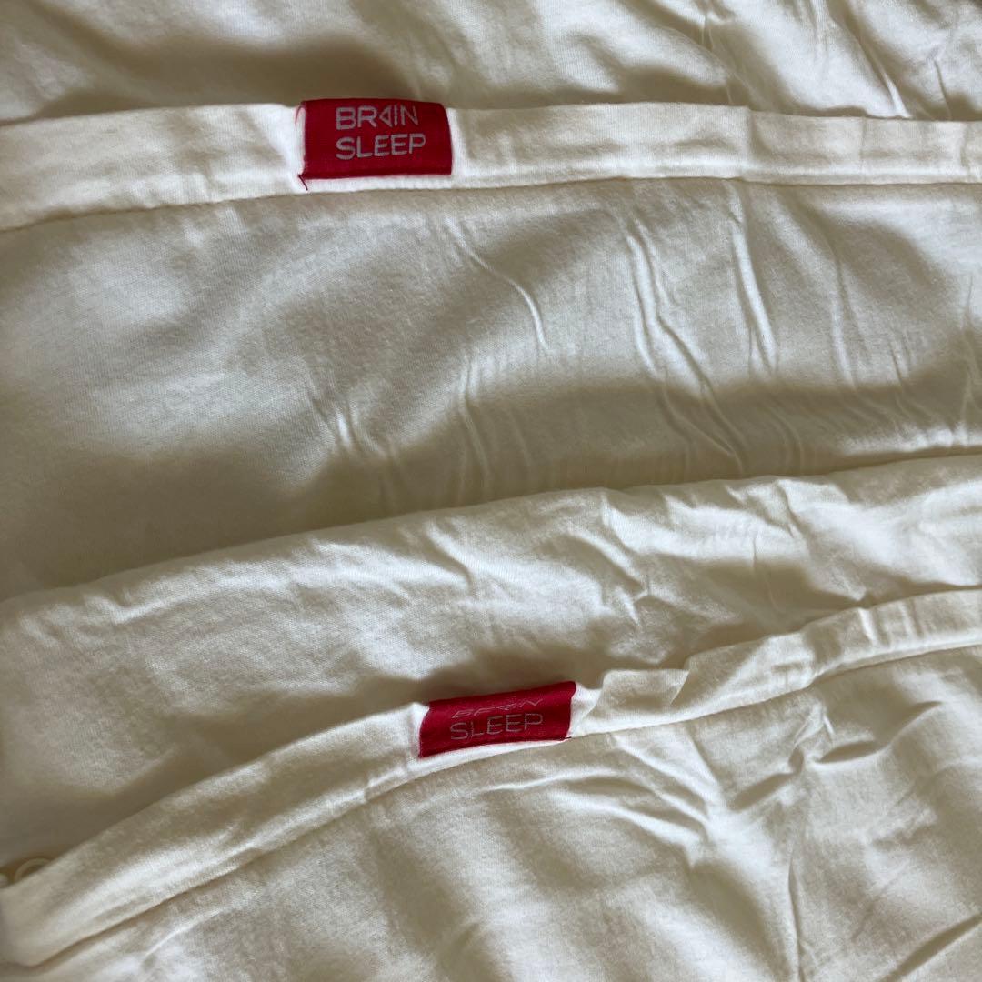 タイムセール【美品・格安】ブレインスリープ　枕　２７日12:00まで。