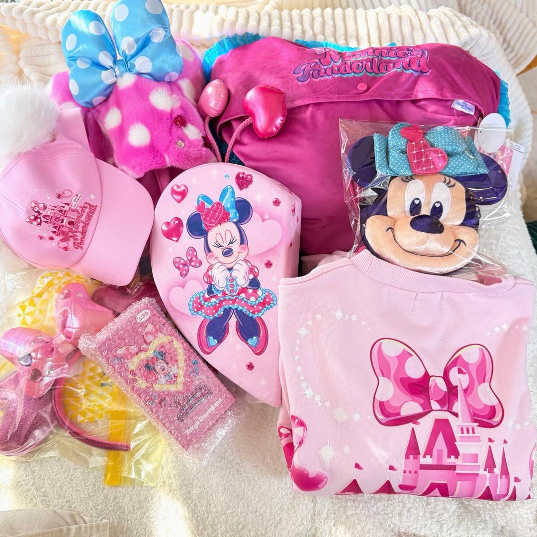 タイムセール⋆。˚✩ミニー　パルパルーザ 20点