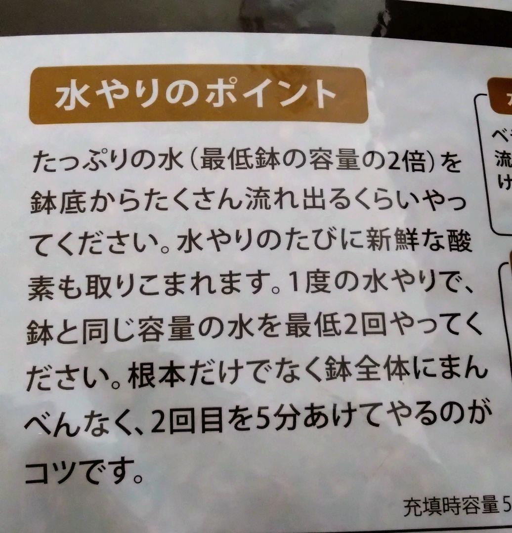 寄せ植え　 アンティークブリキ鉢　花