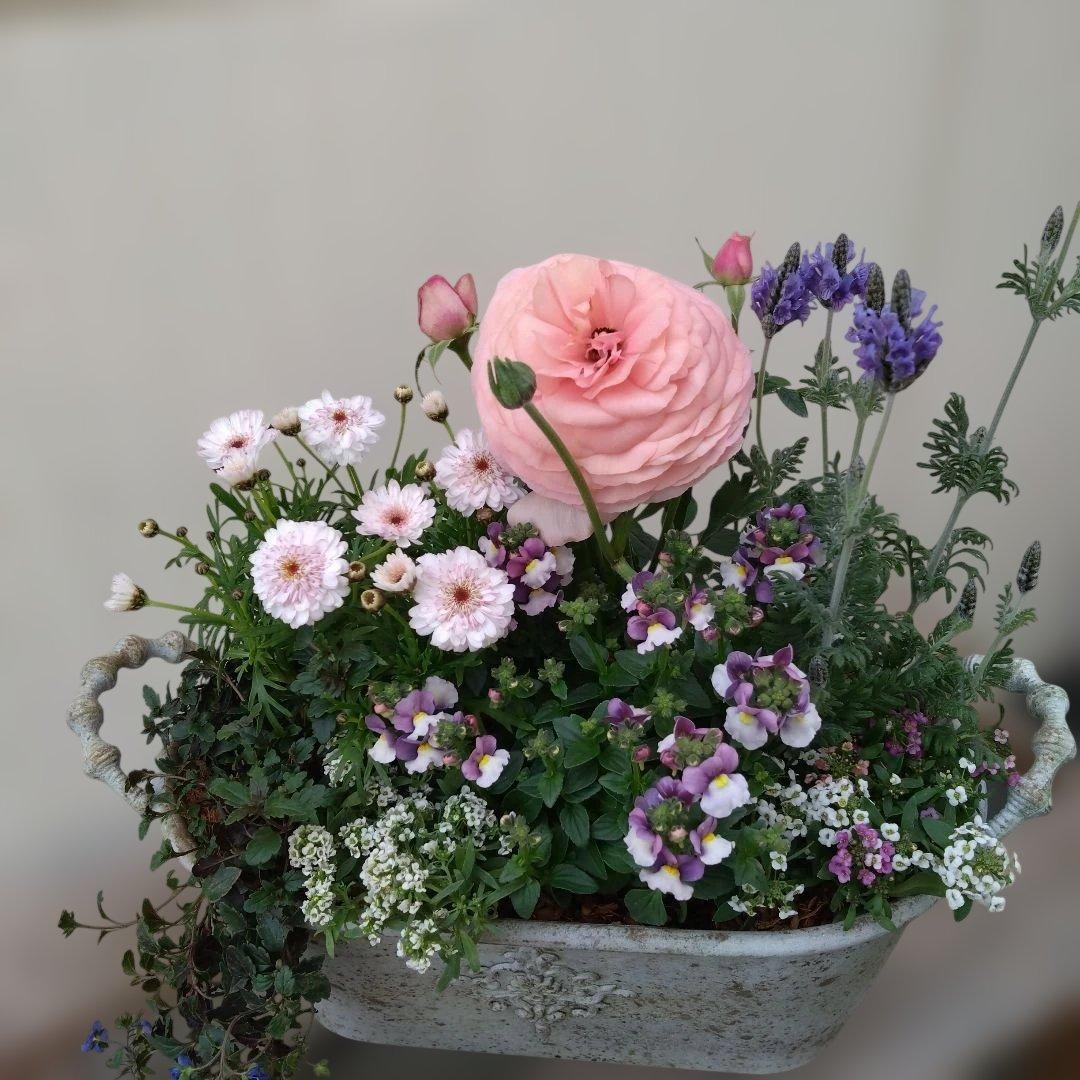 寄せ植え　 アンティークブリキ鉢　花