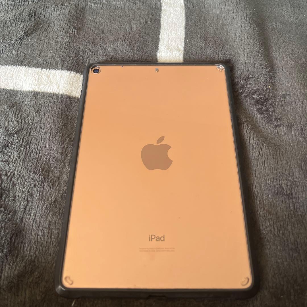 iPad本体 iPad Mini 5 256g pink