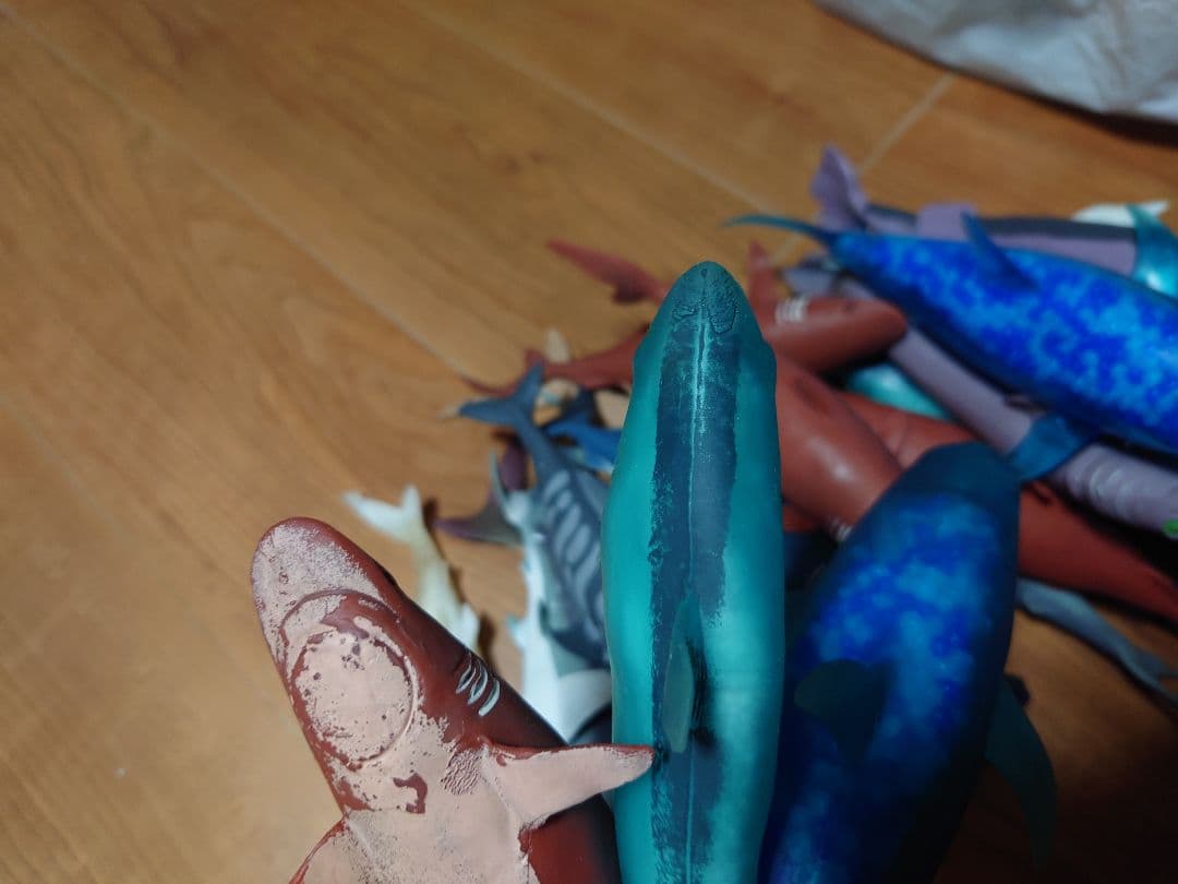 ディアゴスティーニ　シャーク＆co　まとめ