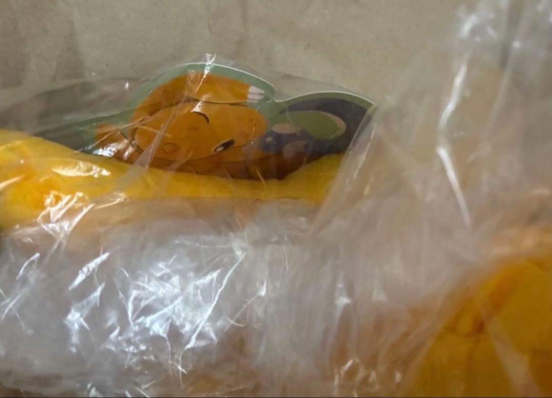 カイリュー だっこぬいぐるみ TAIKI-BANSEI ミニリュウ＆カイリュー