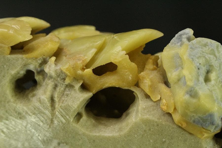 中国美術 青田石雕 刻葡萄木 置物 寿山石 鑑賞石(ZE874)