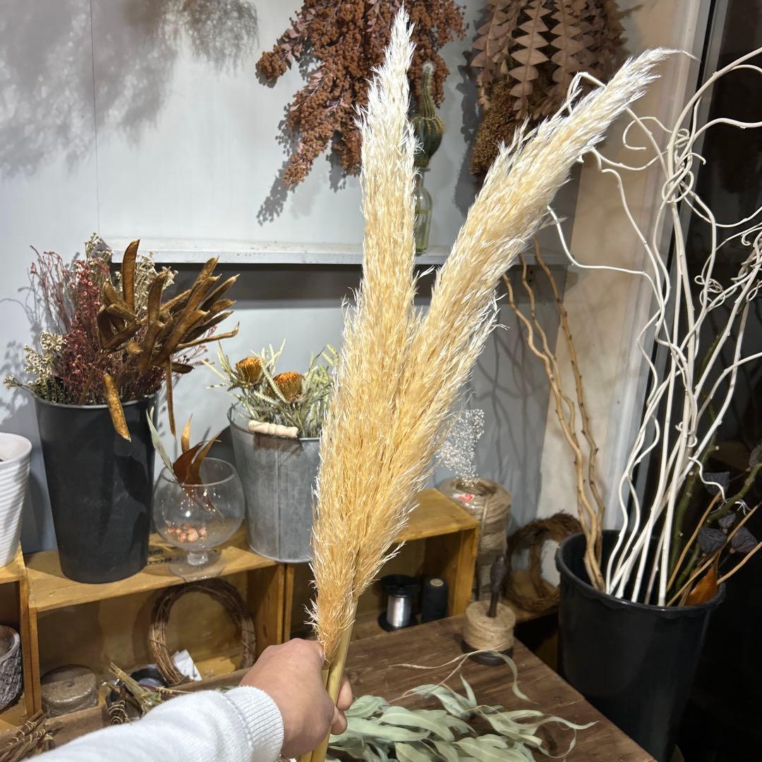 ドライフラワーセット⑦