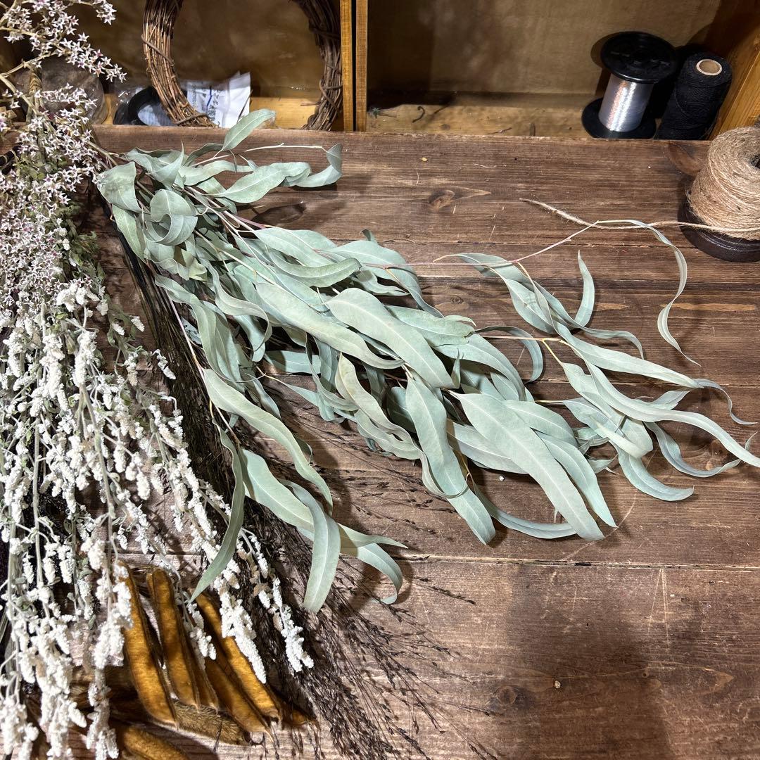 ドライフラワーセット⑦