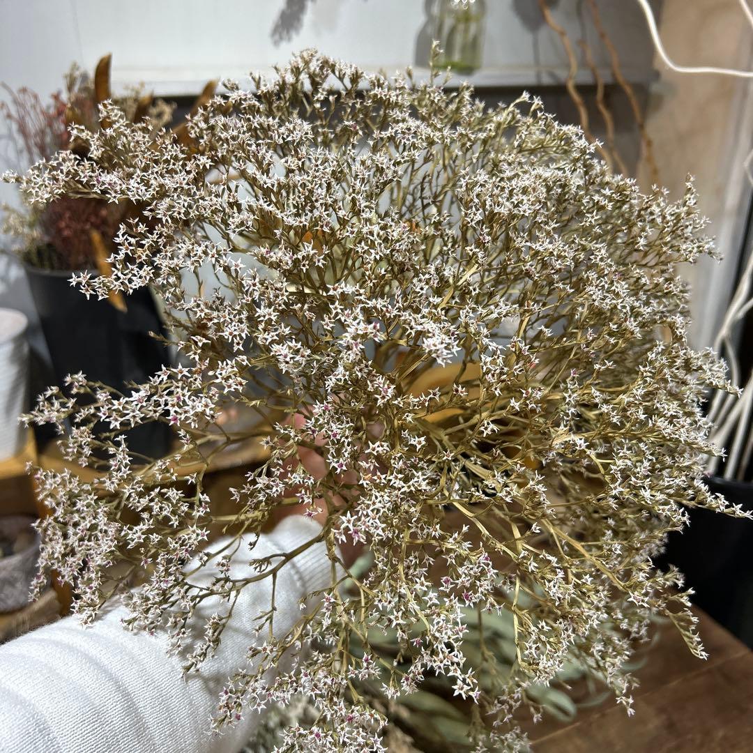 ドライフラワーセット⑦