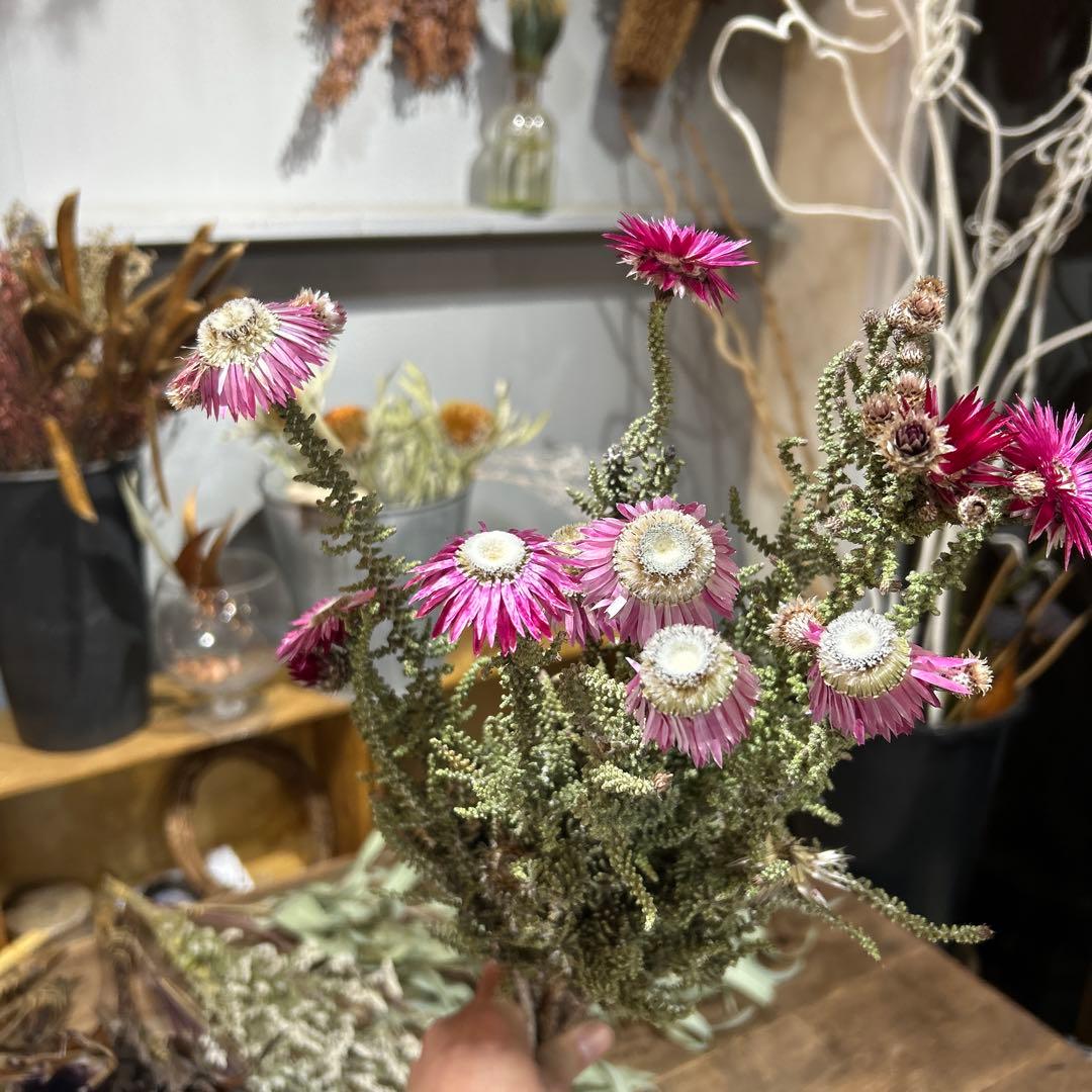 ドライフラワーセット⑦