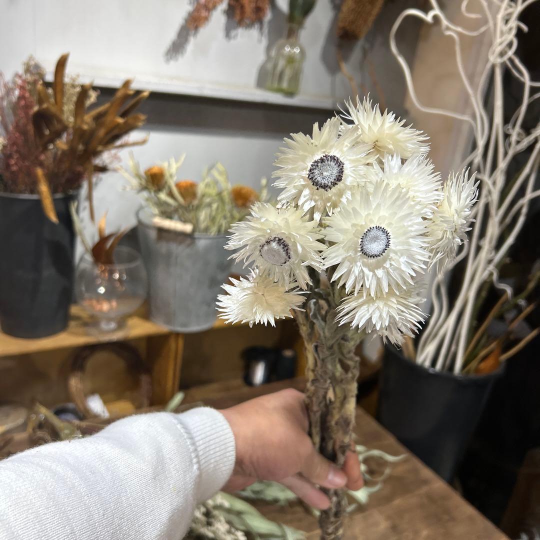 ドライフラワーセット⑦