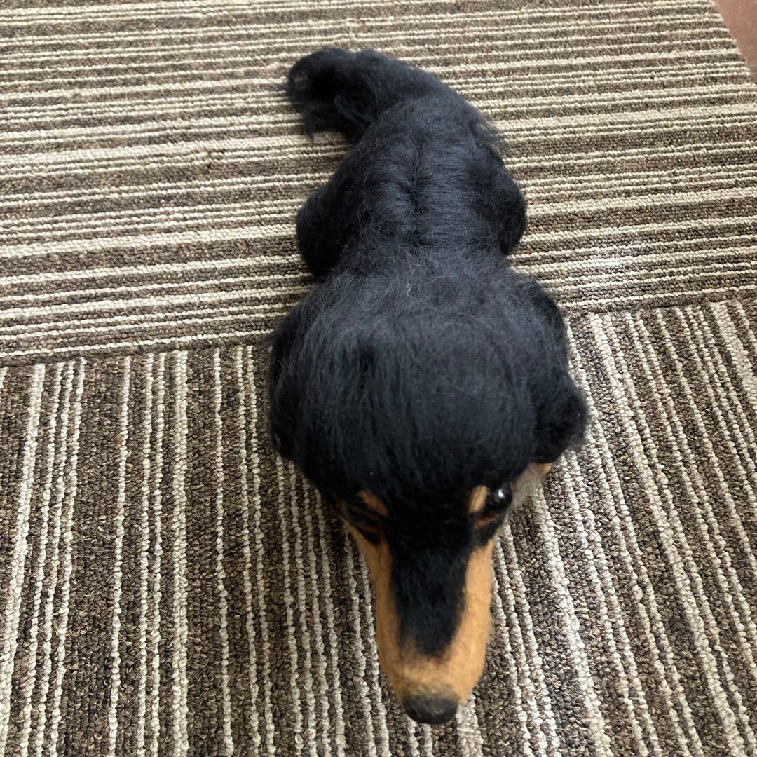 羊毛フェルト　ダックス　ブラックタン