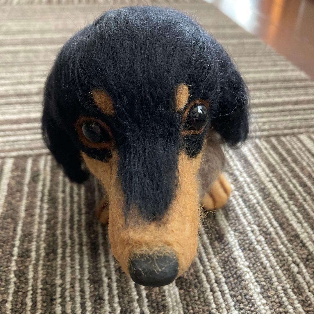 羊毛フェルト　ダックス　ブラックタン