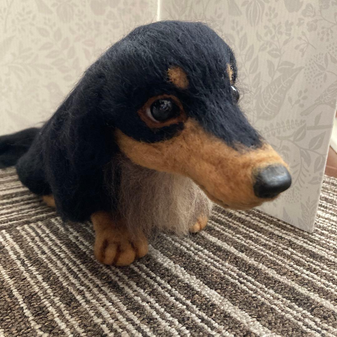 羊毛フェルト　ダックス　ブラックタン
