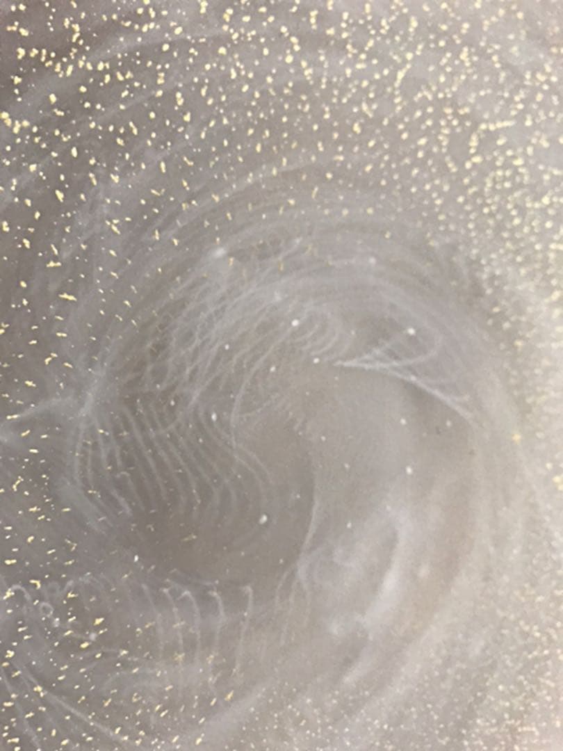 マルティグラス　金箔入り大皿