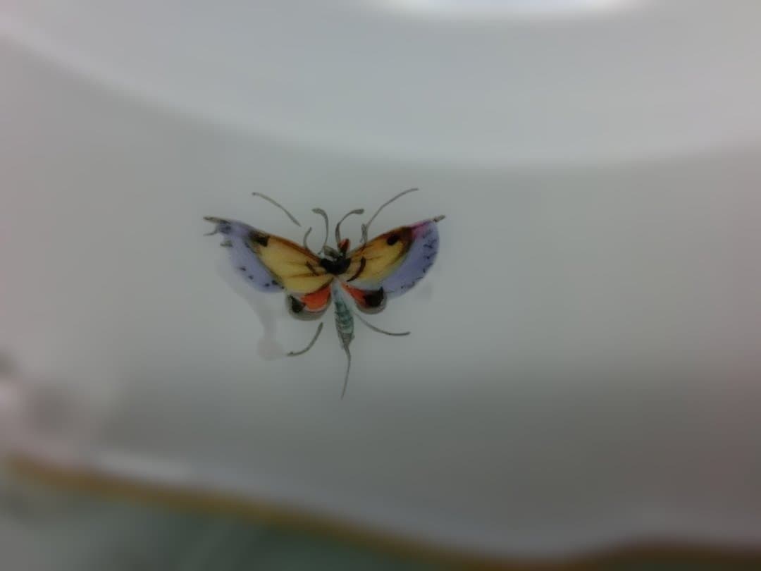 【マイセン】古い金彩花虫文プレート