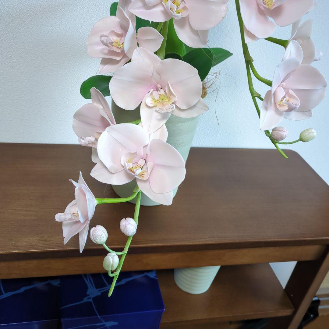 クレイフラワー淡いピンク 胡蝶蘭