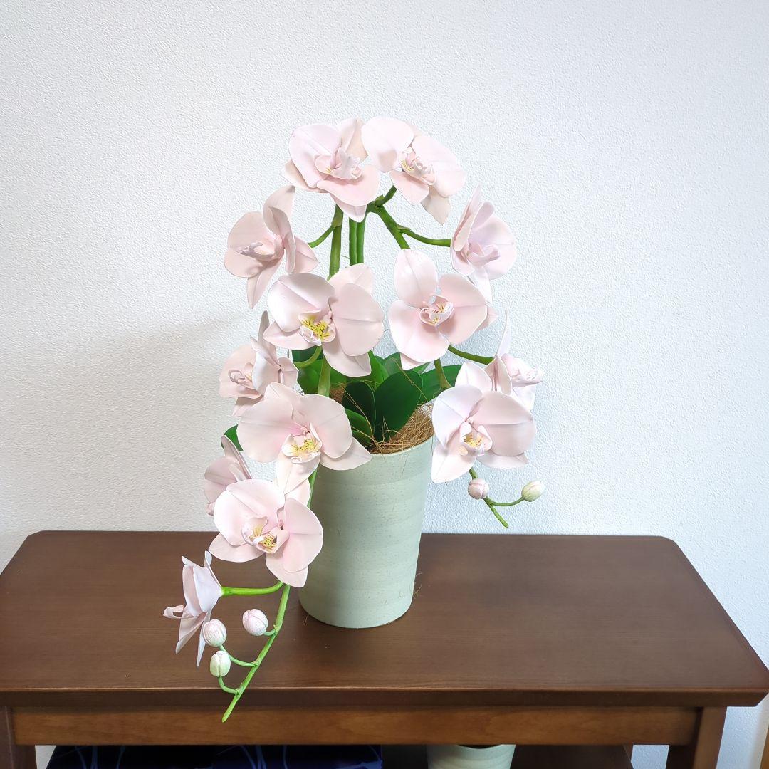 クレイフラワー淡いピンク 胡蝶蘭
