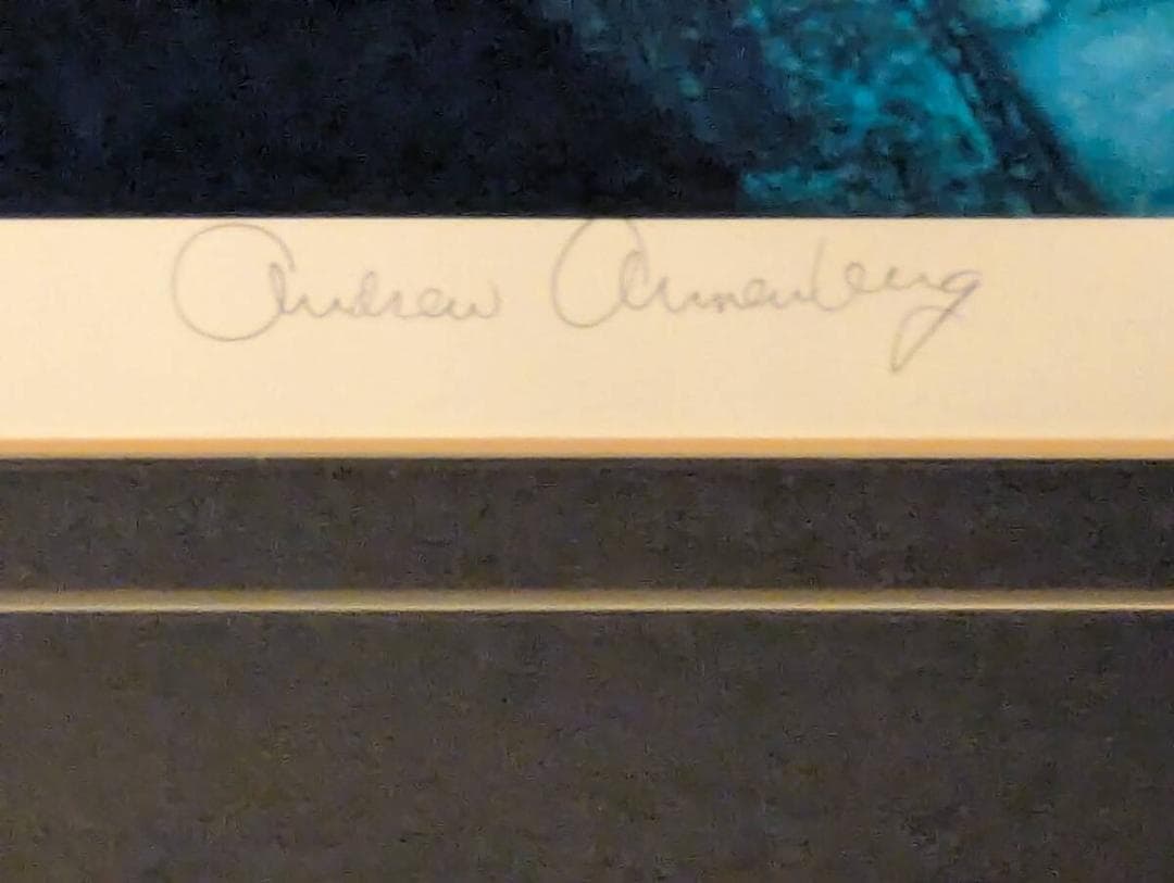 【真作】版画　アンドリュー・アンネンバーグ　シルクスクリーン　Z158