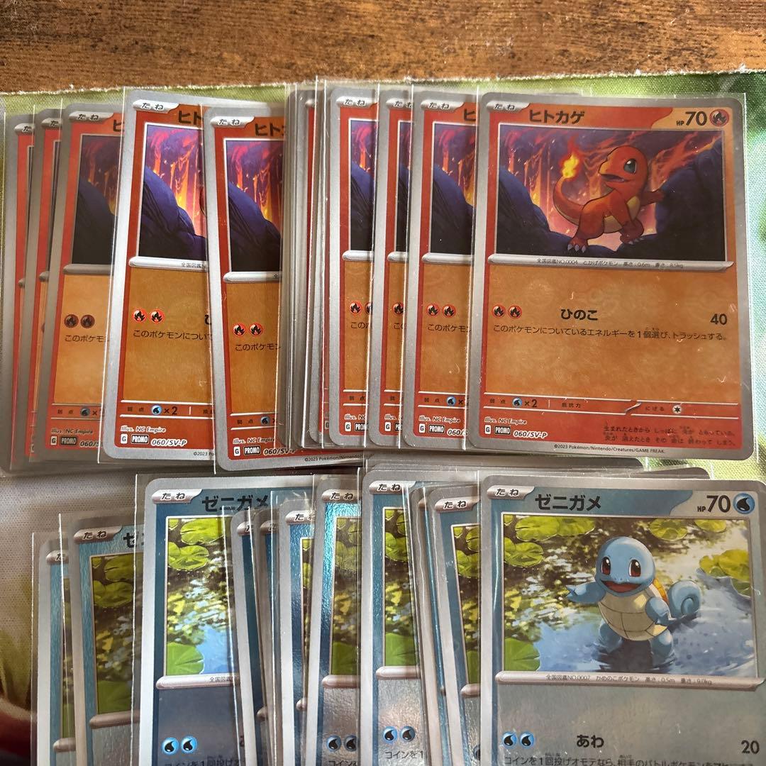 ポケモンカード カードファイルセット プロモ