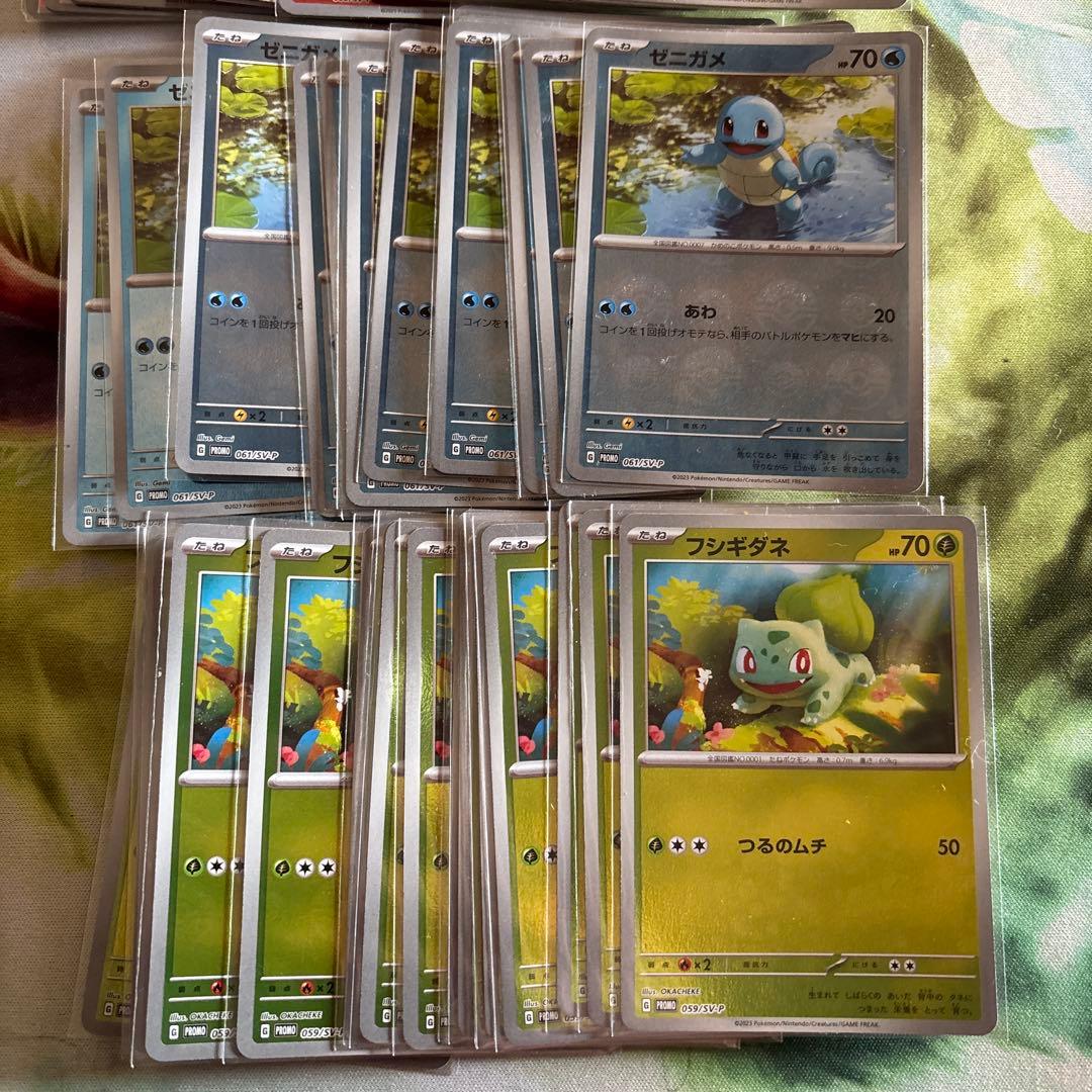 ポケモンカード カードファイルセット プロモ