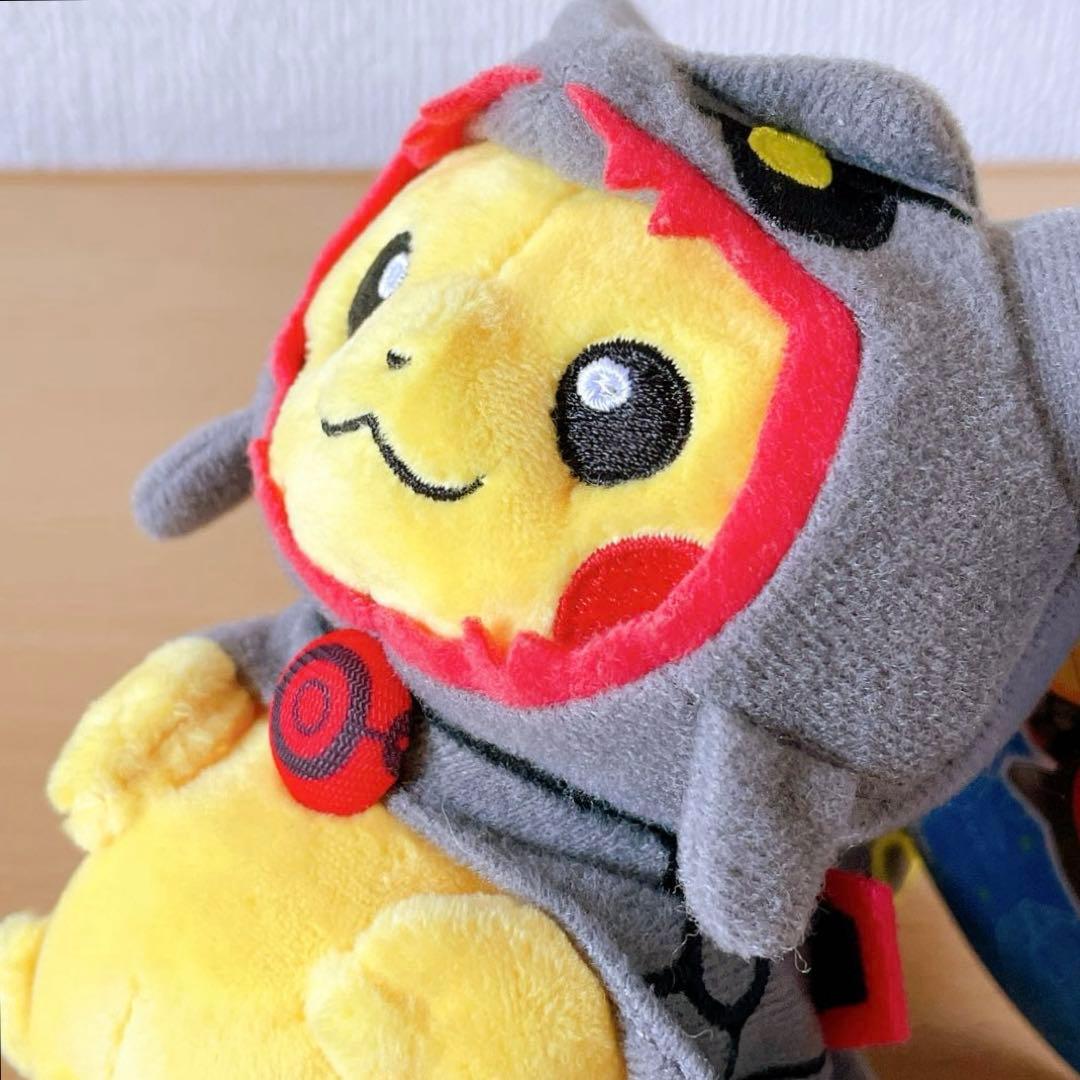 は*と様 黒いレックウザポンチョを着たピカチュウ マスコット タグ付き オープン