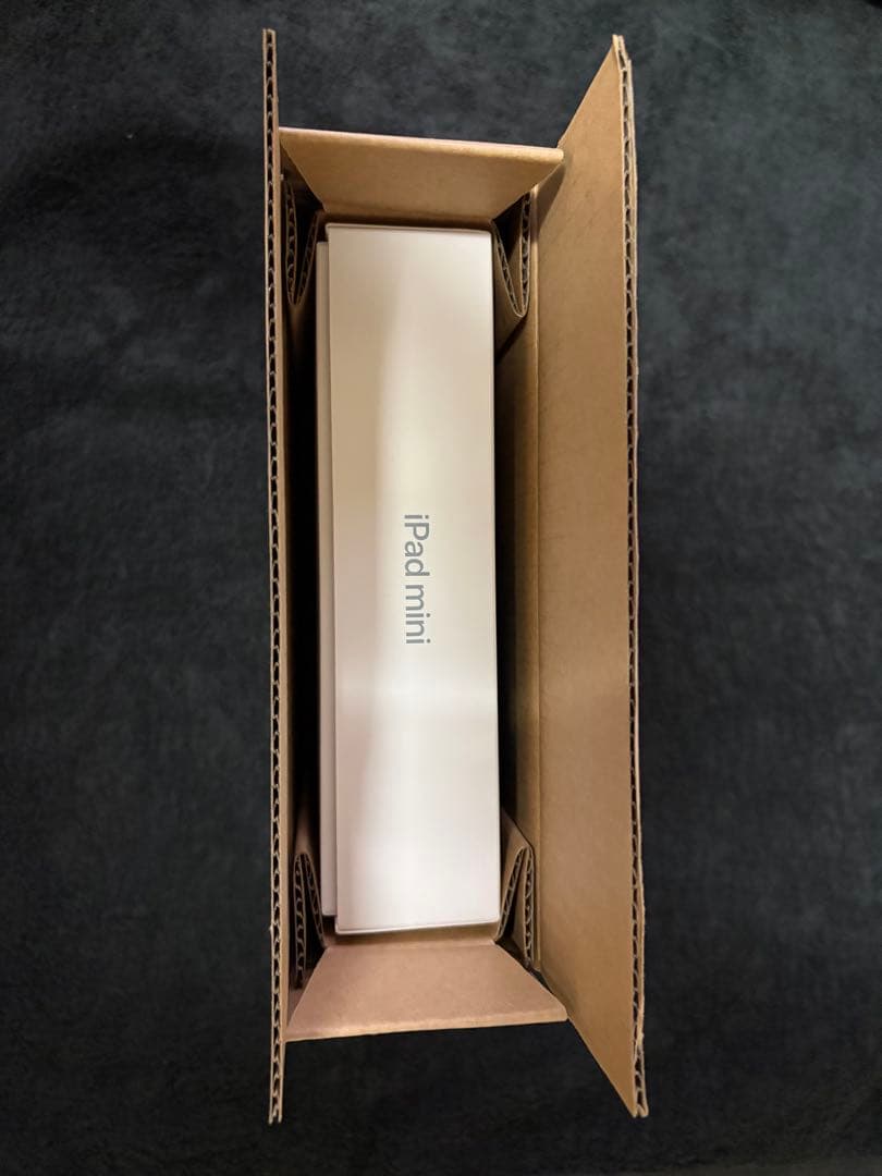 iPad mini 第7世代 A17 pro ブルー 本体 極美品 保証残有り