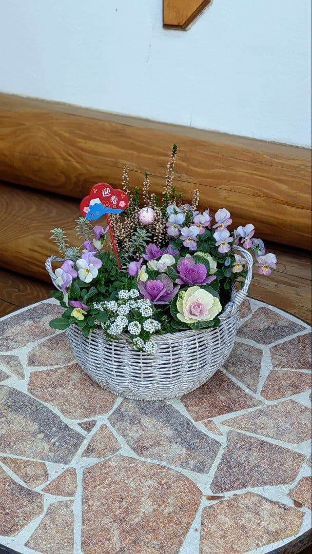 《a様ご注文分》ラウンドバスケット寄せ植えとクラウンフクロウくんセット