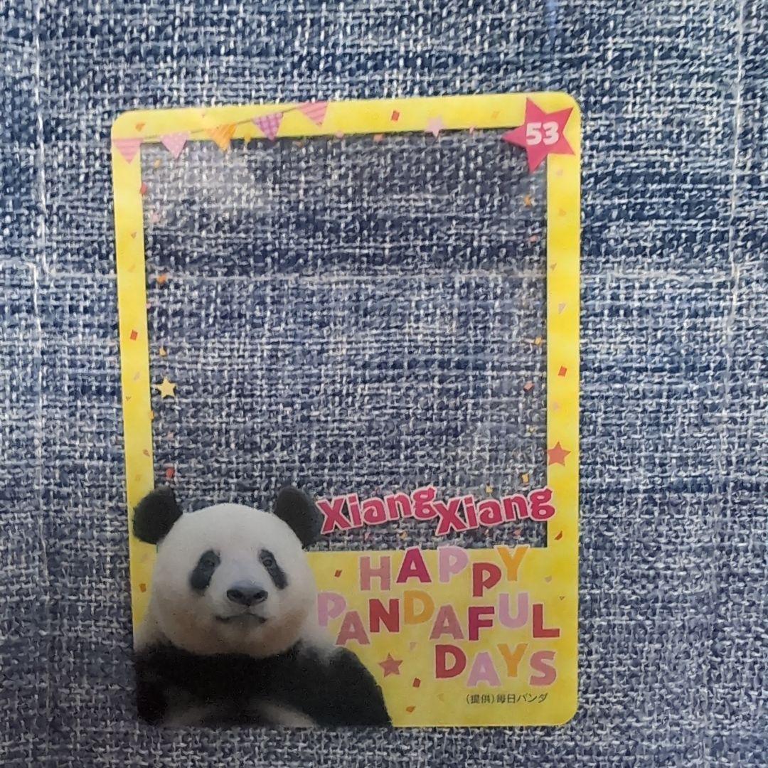 上野松坂屋　パンダ　シャンシャン　クリアカード　クリアファイル各１枚 非売品