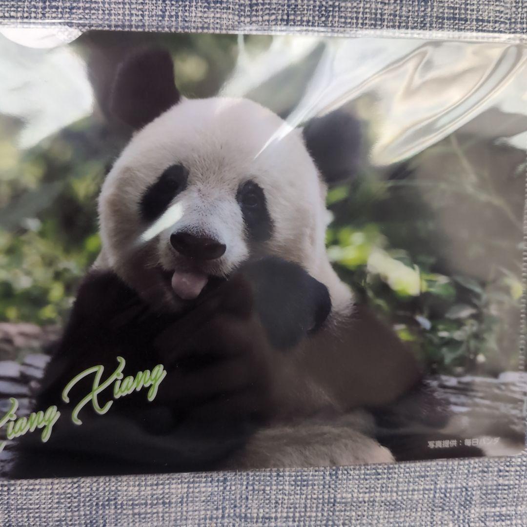 上野松坂屋　パンダ　シャンシャン　クリアカード　クリアファイル各１枚 非売品