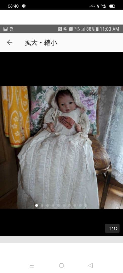 リボーンベイビー 希少