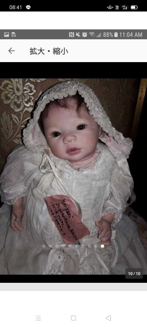 リボーンベイビー 希少