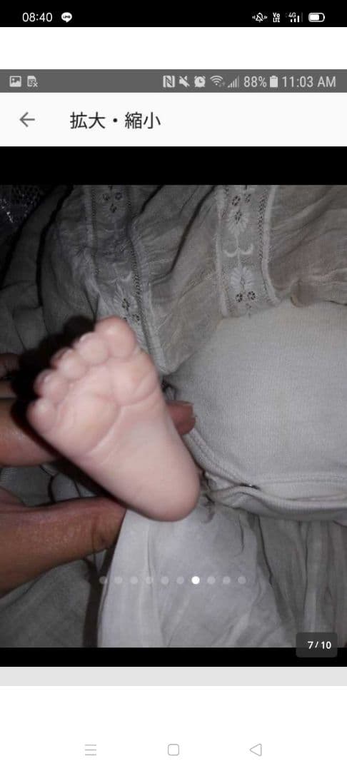 リボーンベイビー 希少