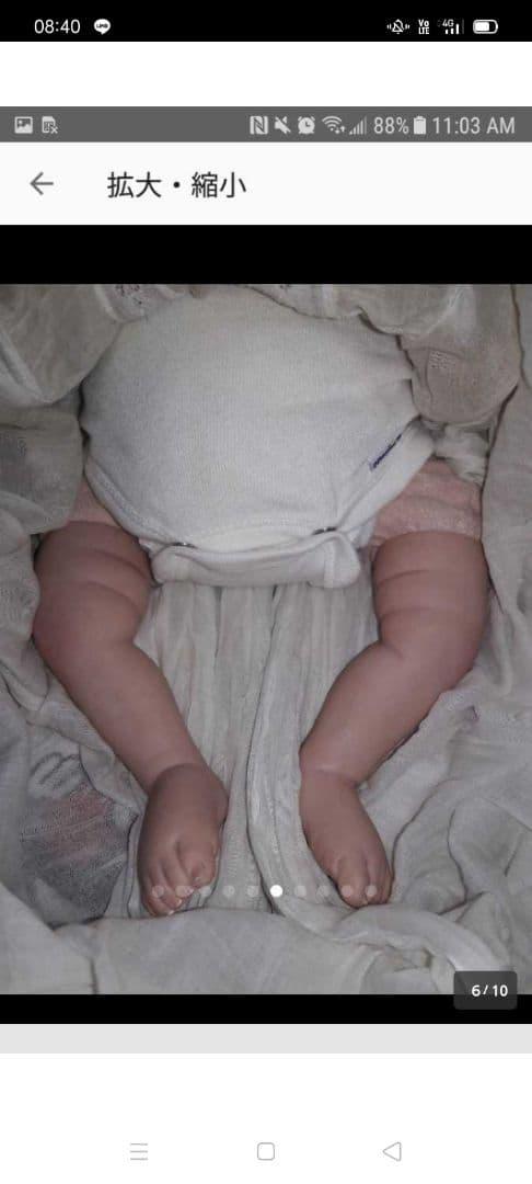 リボーンベイビー 希少