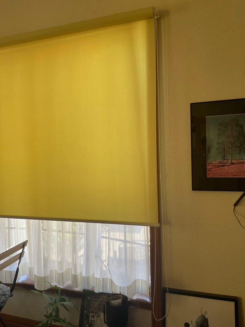 ニチベイ ロールスクリーン ソフィー 防炎 抗菌 防カビ 幅180×高さ250