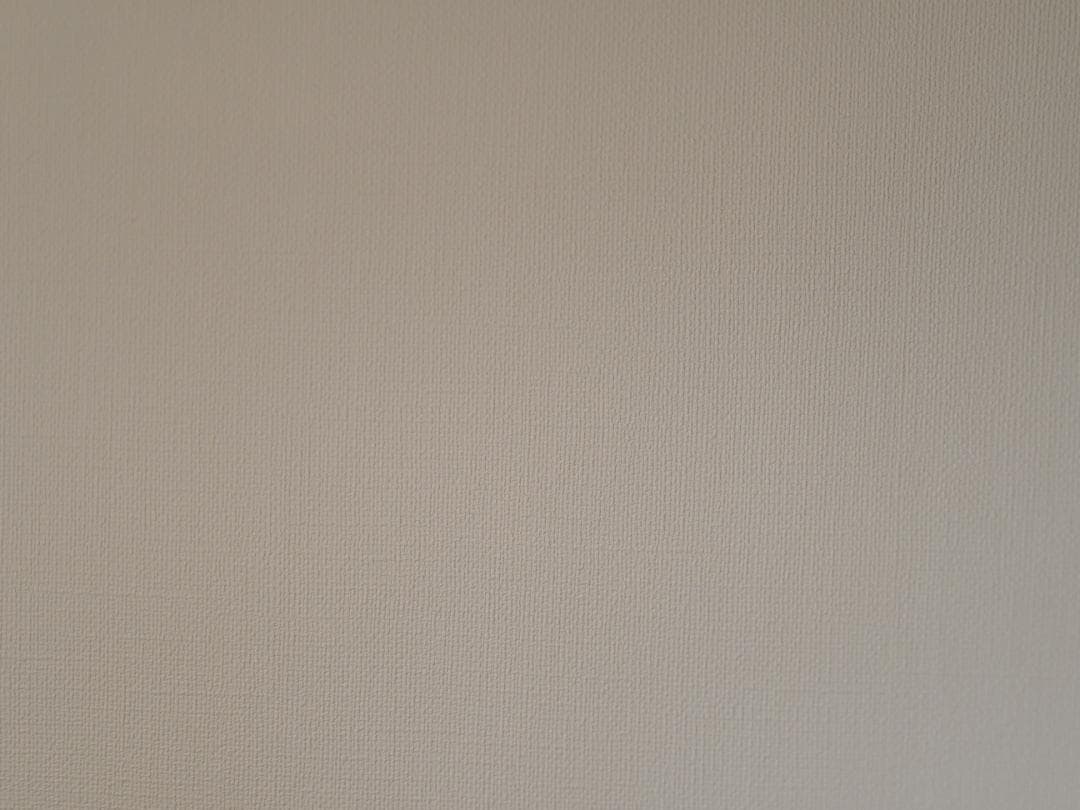 M.ZUIKO DIGITAL ED40150mmF2.8PROテレコンキット