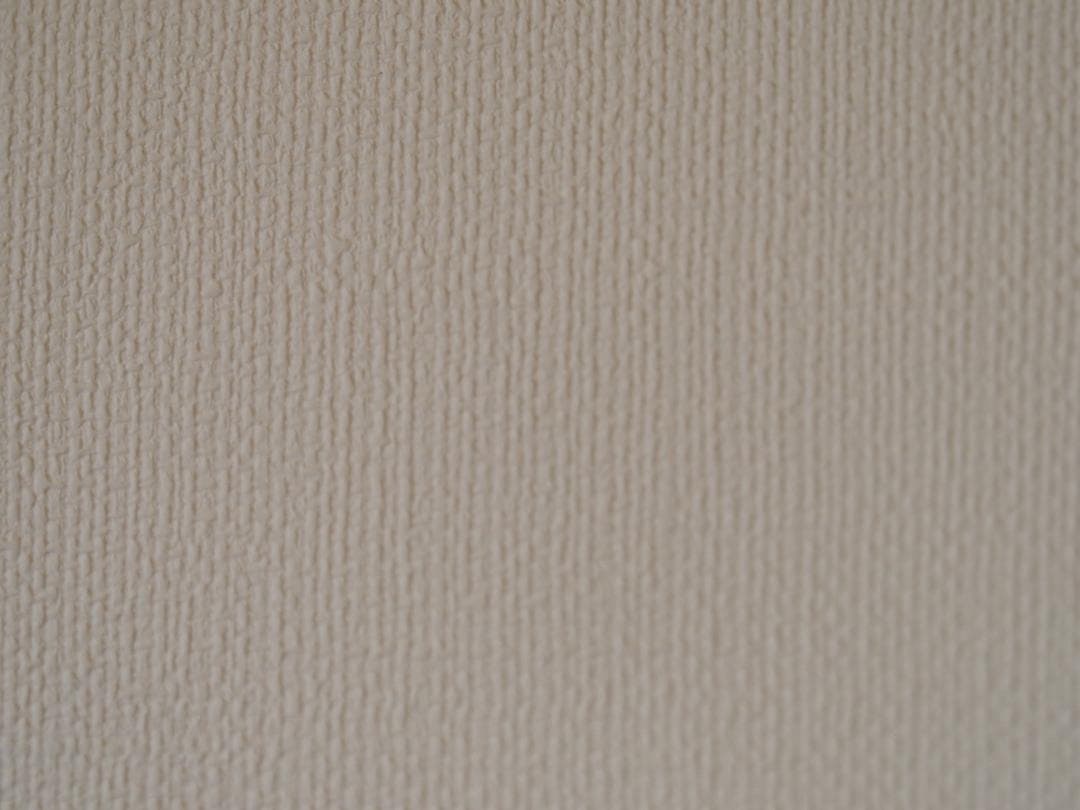 M.ZUIKO DIGITAL ED40150mmF2.8PROテレコンキット