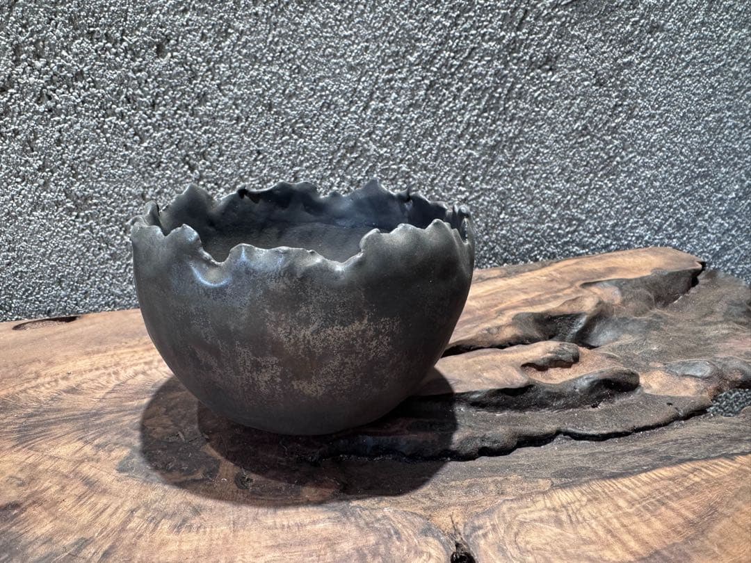 手作植木鉢 グラデーション植木鉢（ 塊根植物 グラキリス パキプス アガベ)