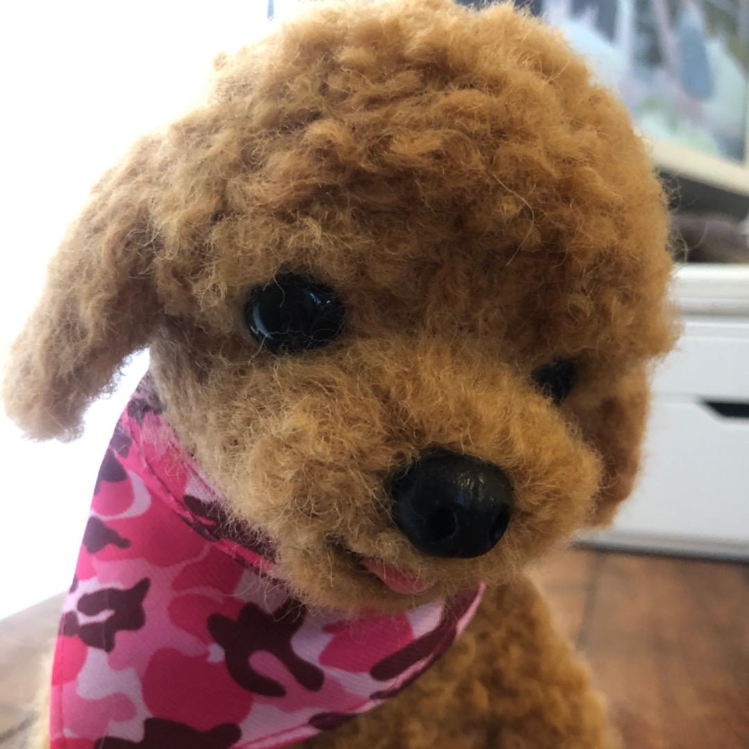 大きなサイズ 羊毛フェルト ハンドメイド 茶色プードル 巻き毛がキュートな子です